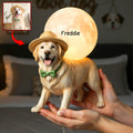 Dog Moon Light Box - Custom Photo Gifts For Dog Lovers 03naqn020426