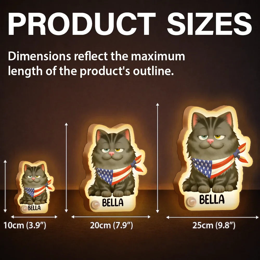 Patriotic Dog Cat With Name - Personalized Motion Sensor Night Light
