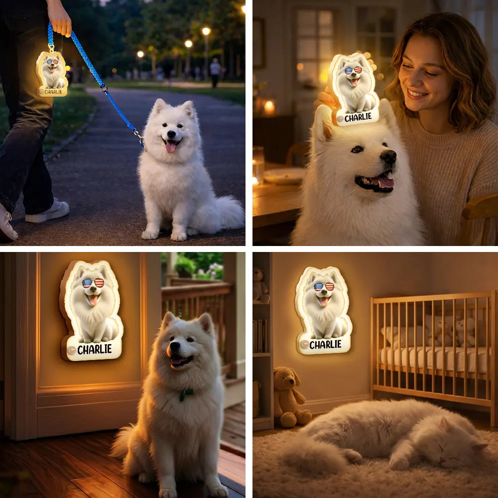 Patriotic Dog Cat With Name - Personalized Motion Sensor Night Light